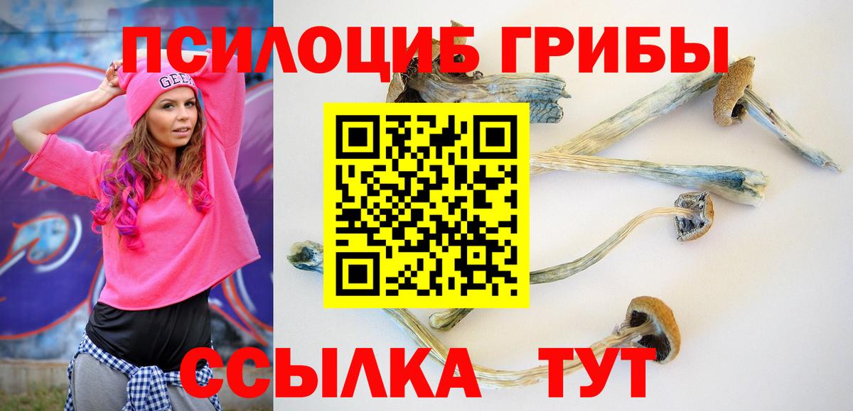 Псилоцибиновые грибы мухоморы Ростов Великий