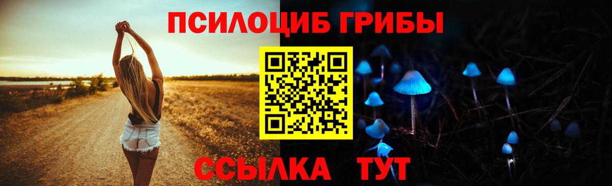 Ростов Великий  Псилоцибиновые грибы мицелий  Вход с VPN 